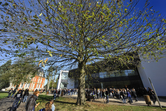 Rouen Business School Auditorium