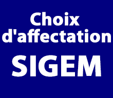 Saisie des choix d'affectation SIGEM